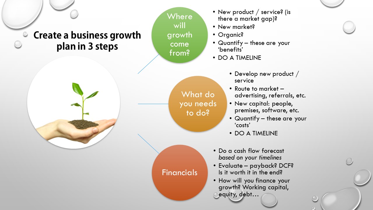 how to grow business plan